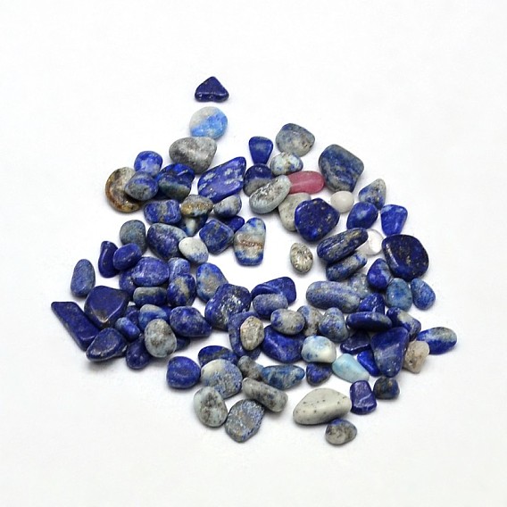 Natural Lapis Lazuli Chip Beads, Tumbled Stone, No Hole/Undrilled
