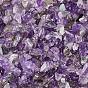 Природный аметист бисер чип, нет отверстий / незавершенного, 3~9x1~4 мм