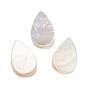 Cabochons de coquillages naturels, larme