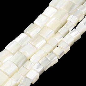 Натуральная оболочка из трохидных оболочек, куб шарики