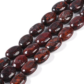 Natural Brecciated Jasper Beads Strands, Flat Oval