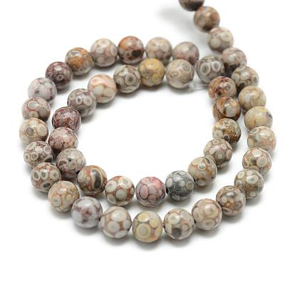 Natural Maifanite/Maifan Stone Beads Strands, Round