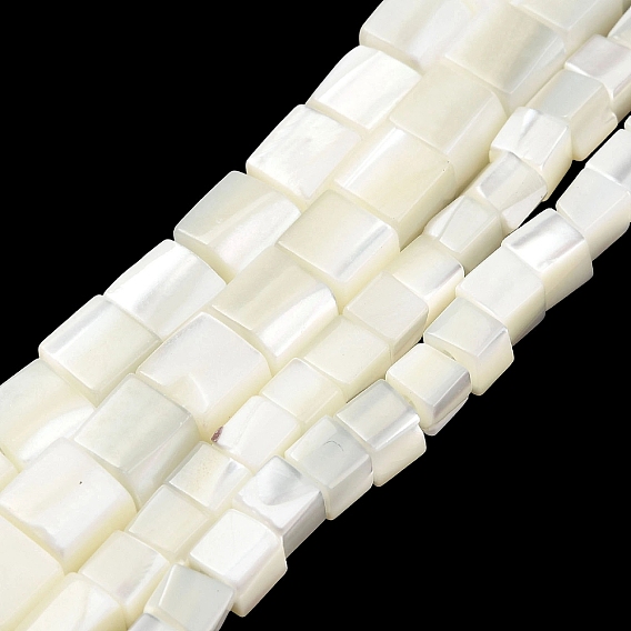 Natural Trochid Shell/Trochus Shell Beads Strands, Cube Beads