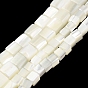 Natural Trochid Shell/Trochus Shell Beads Strands, Cube Beads