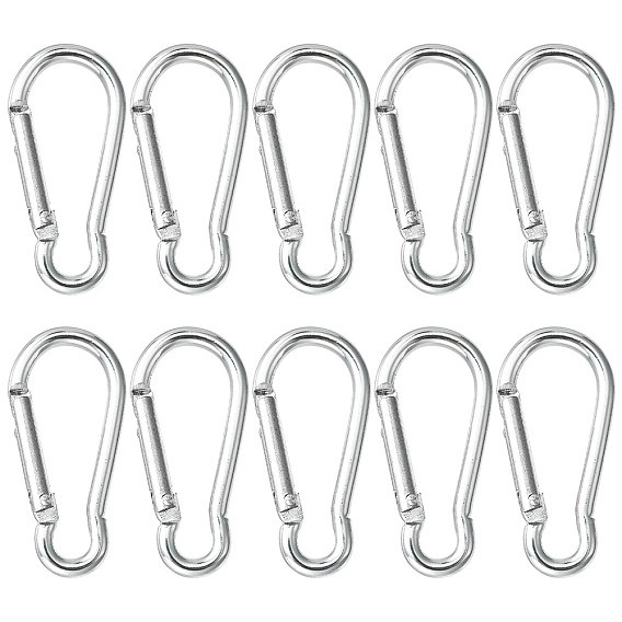 Aluminum Rock Climbing Carabiners, Key Clasps, with Iron Findings