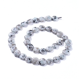 Jaspe de sésame naturel / perles de jaspe kiwi, plat rond
