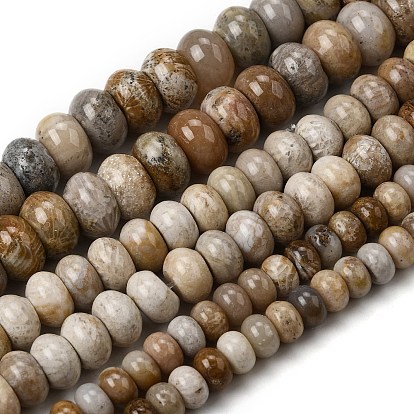 Природные окаменелые коралловые бусы пряди, рондель