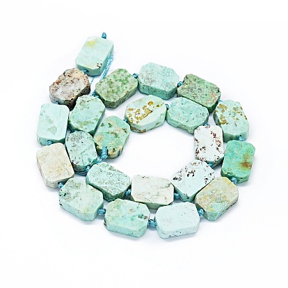Natural Peruvian Turquoise(Jasper) Beads Strands, Frosted, Rectangle