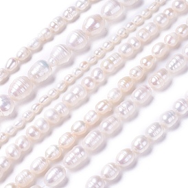 Natural Cultured Freshwater Pearl Beads Strands