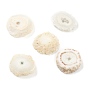 Rough Raw Natural Druzy Agate Beads, Solar Quartz, No Hole/Undrilled, Flat Round