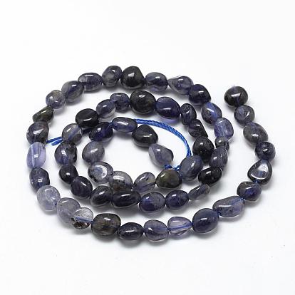 Natural Cordierite/Iolite/Dichroite Beads Strands, Oval