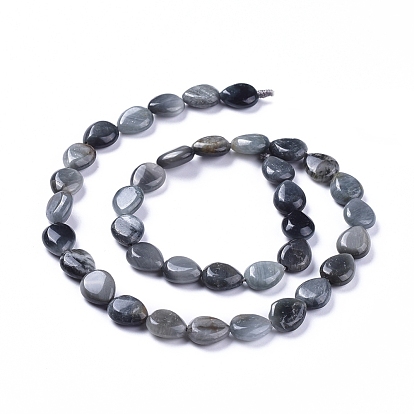 Natural Hawk's Eye Beads Strands, Eagle Eye Stone, Teardrop