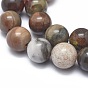 Natural Petrified Wood Beads Strands, Round