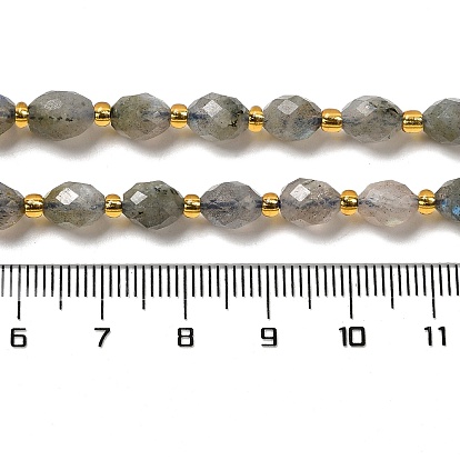 Natural Labradorite Beads Strands, with Seed Beads, Faceted, Oval