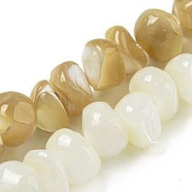 Natural Trochus Shell Beads Strands, Nuggets