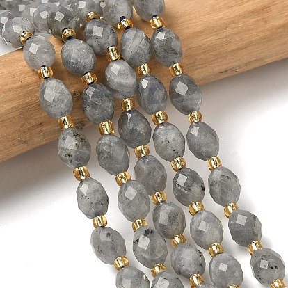 Природные лабрадорита бисер нитей, граненые, рис, с бисером
