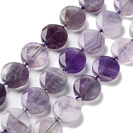 Chapelets de perles naturelles améthyste, avec des perles de rocaille, coupe hexagonale facettée, plat rond