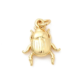 Латунные подвески, жук прелести, стойки покрытие, долговечный, без свинца и без кадмия, с целью перехода в кольце