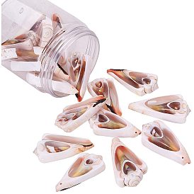 Spiral Shell Pendants