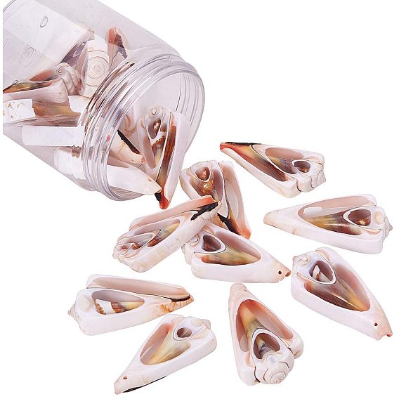 Spiral Shell Pendants