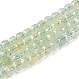 Natural Prehnite Beads Strands, Grade AA, Faceted, Cube