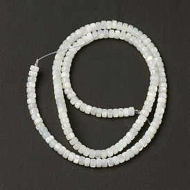 Coquille de trochide naturelle / perles de coquille de troque, perles heishi, Plat rond / disque