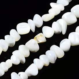 Natural Trochid Shell/Trochus Shell Beads Strands, Bleach, Nuggets Chips