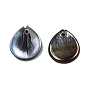 Natural Black Lip Shell Charms, Petal
