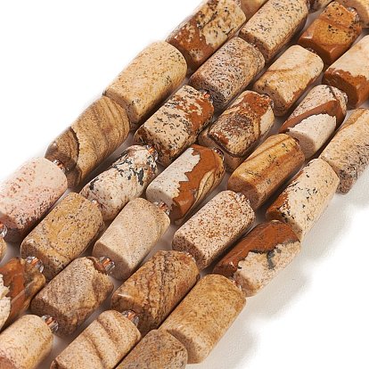 Natural Picture Jasper Beads Strands, with Seed Beads, Faceted, Column