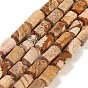 Natural Picture Jasper Beads Strands, with Seed Beads, Faceted, Column