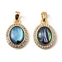 Латунные микропаве прозрачные подвески с фианитом, овальные амулеты, с Пауа оболочке