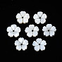 Natural Freshwater Shell Beads, Flower