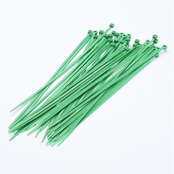 Plastic Cable Ties, Tie Wraps, Zip Ties