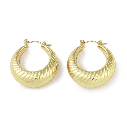 Ion Plating(IP) 304 Stainless Steel Hoop Earrings for Women, Ring
