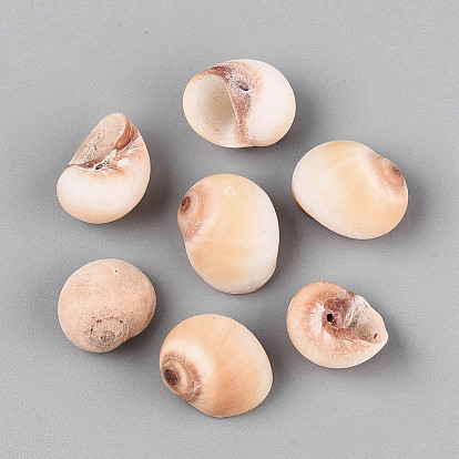 Natural Cat-Eye Natica Spiral Shell Display Decorations, for Fish Tank Aquarium Ornaments, Conch Shape