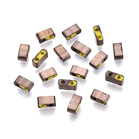 Granos de la semilla de cristal electrochapa, 2 agujero, Rectángulo