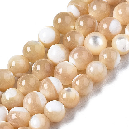 Natural Trochid Shell/Trochus Shell Beads Strands, Round