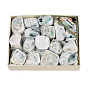Natural Gemstone Geode Cornucopia Mineral Specimen, Raw Crystal Cluster, Healing Crystal Home Decor Gift, with Paper Box