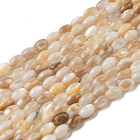 Eau douce naturelle de coquillage perles brins, ovale