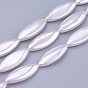 Shell Pearl Beads Strands, Horse Eye