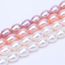 Natural Cultured Freshwater Pearl Beads Strands, Rice