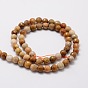 Faceted Round Natural Fossil Coral Bead Strands