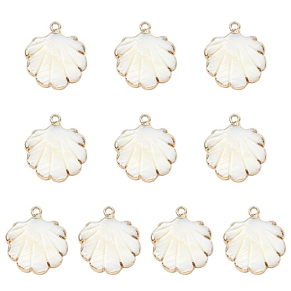 10шт. подвески из натуральных пресноводных ракушек с гальваническим покрытием, подвески в форме ракушек с фурнитурой из железа, золотые