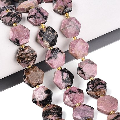 Natural Rhodonite Beads Strands, Faceted Hexagon, with Seed Beads