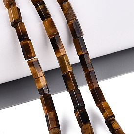 Natural Tiger Eye Beads Strands, Hexagonal Prism