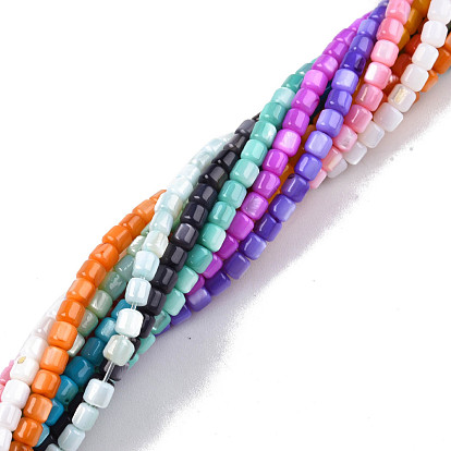 Natural Freshwater Shell Beads Strands, Mixed Dyed and Undyed, Column