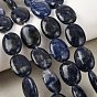 Natural Sodalite Beads Strands, Flat Oval