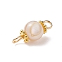 Natural Shell Connector Charms, with Golden Tone Alloy & 304 Stainless Steel Findings, Round