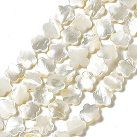 Shell normal de perles blanches de brins, fleur