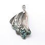 Brass Paua Shell Pendants, Undyed, 30~38x20~34x4mm, Hole: 4mm